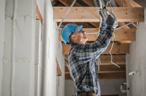 Best Generator Installation Services  in Hinckley, IL