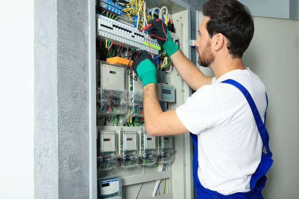 Best Ceiling Fan Installation Electrician  in Hinckley, IL