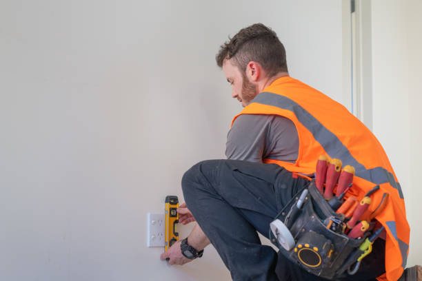 Best Electric Panel Repair  in Hinckley, IL
