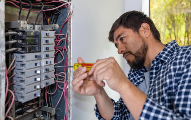 Best Ceiling Fan Installation Electrician  in Hinckley, IL